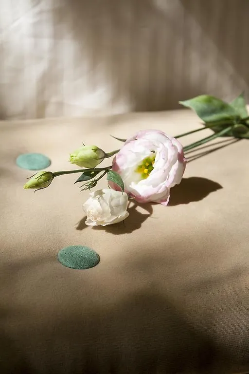 Santa Monica Townhouse Hotel Rome